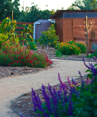 A green garden with colorful flowers