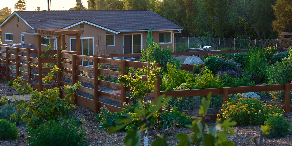 A house with an orchard around it