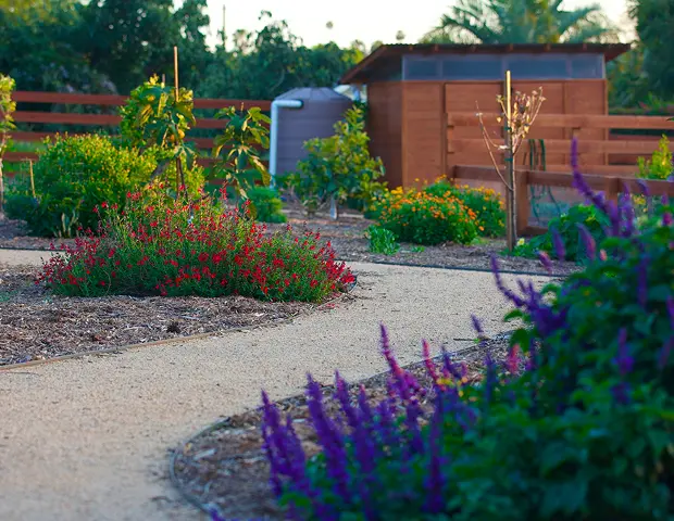 A green garden with colorful flowers