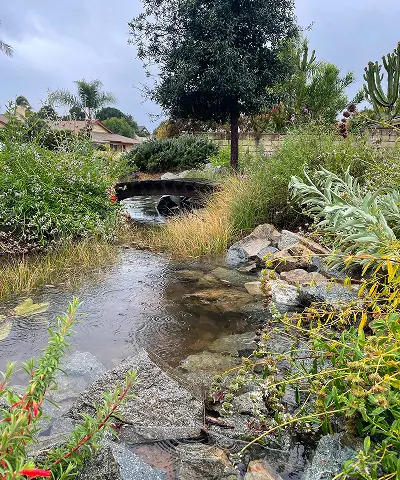 A creek with a small wooden bridge