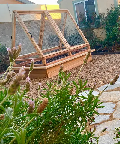 A wooden enclosure for plants