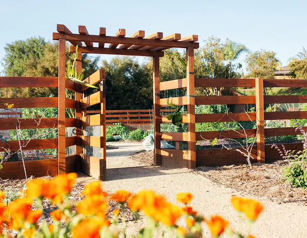 A hammock under a pergola