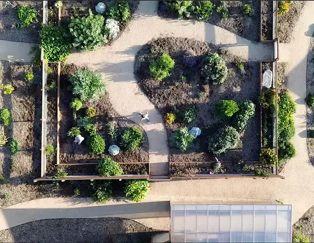 An overhead shot of a fenced in orchard