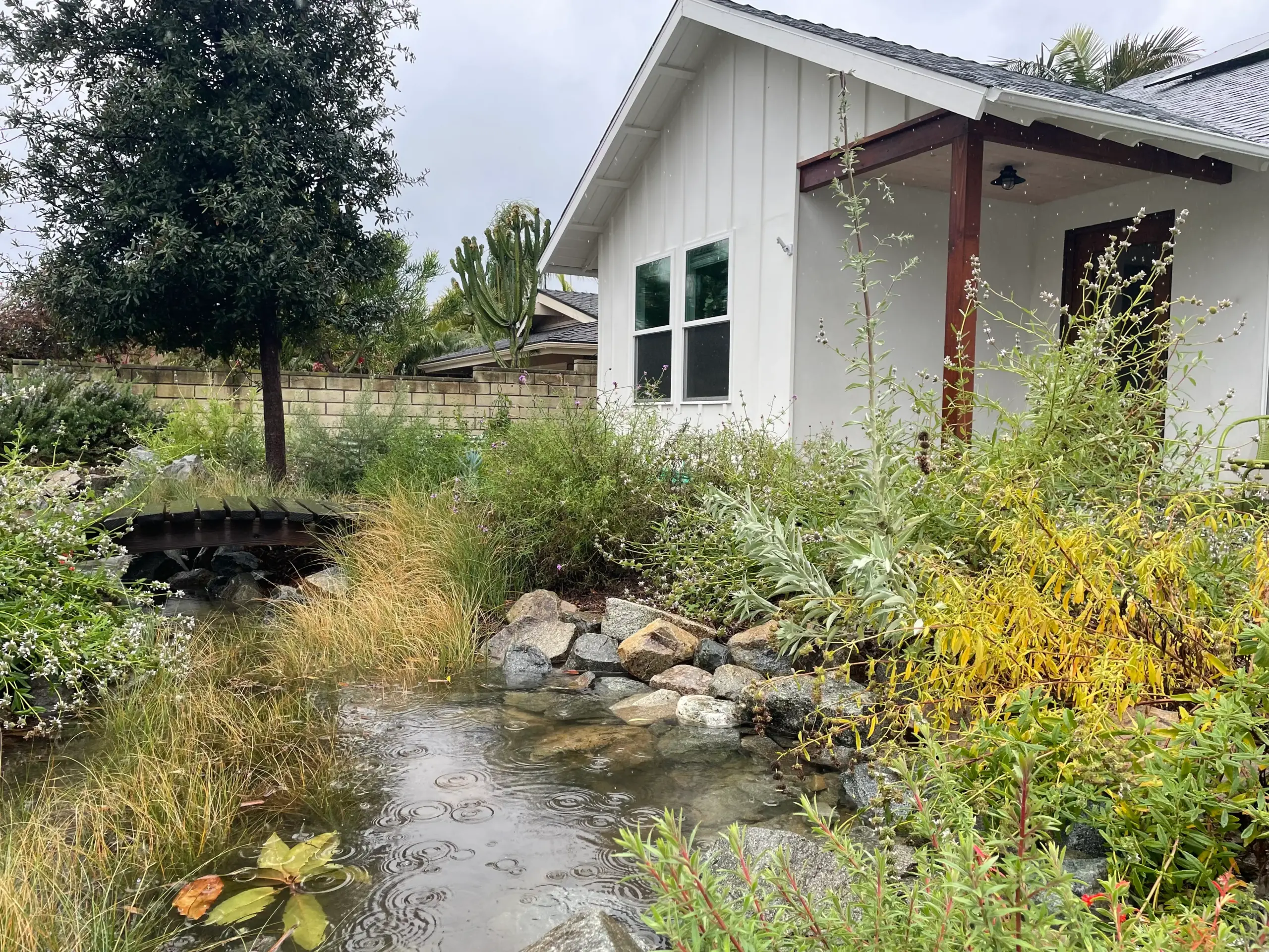 Carlsbad Wild Coast Garden