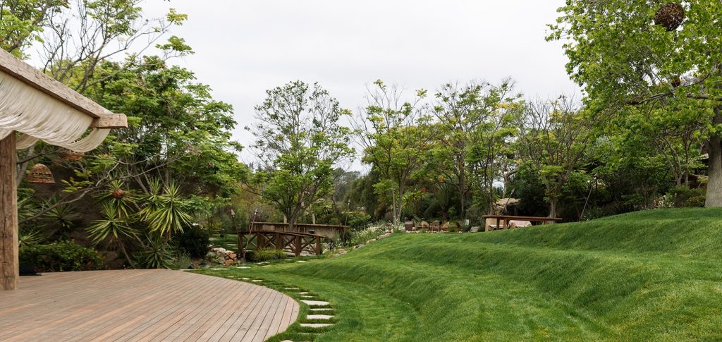 Wood deck stag and grass amphitheater seating