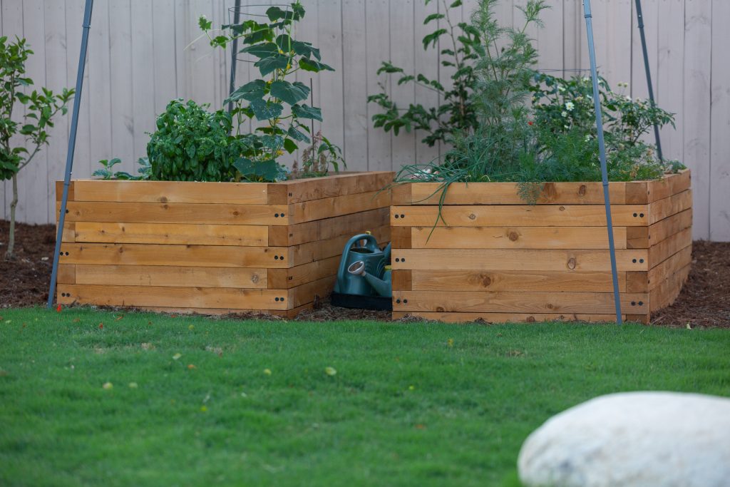 timber garden beds in a natural landscape
