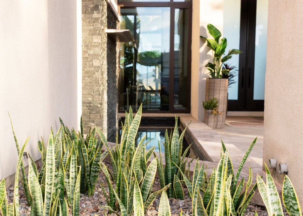 Front yard water feature beside a modern home in San Diego