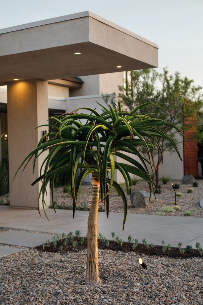 Modern estate entrance with Statement plants and landscape lighting