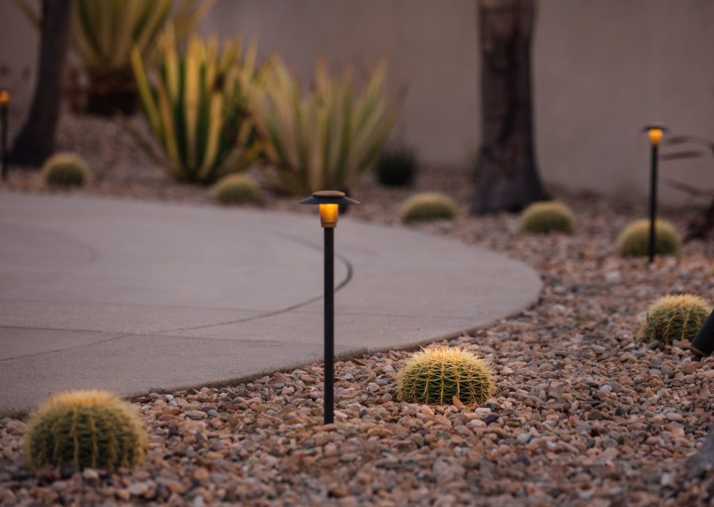 Low-voltage landscape light illuminating drought-tolerant plants