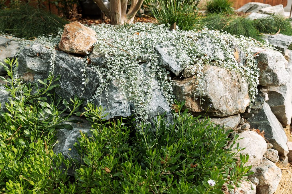 boulder wall