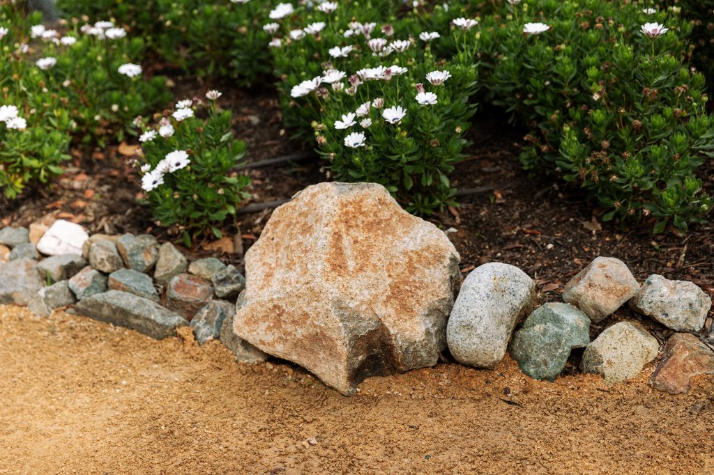 natural landscape with rock edging in rancho santa fe