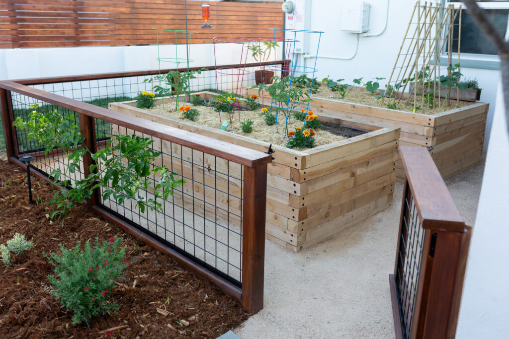 Garden Boxes in a Modern Landscape