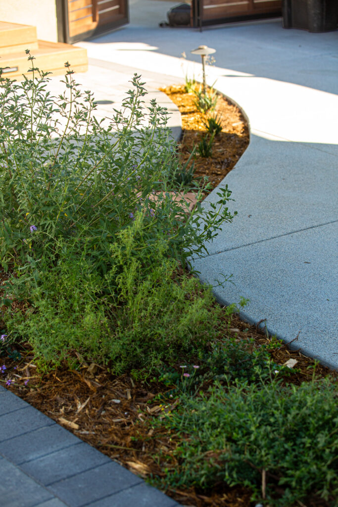 Natural concrete driveway