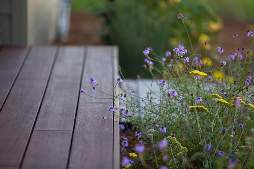 High-End deck porch in a San Diego Landscape